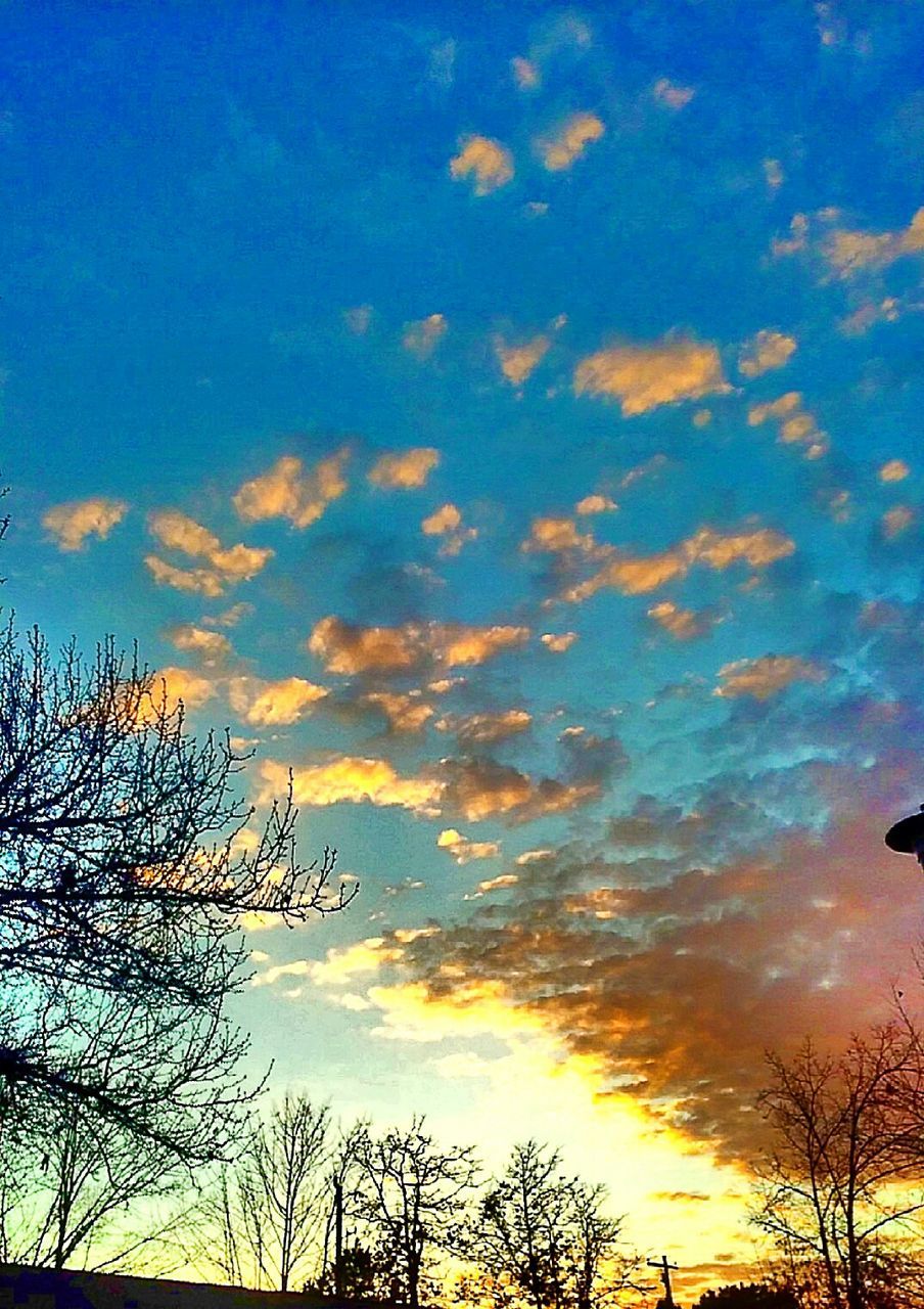 sky, low angle view, silhouette, cloud - sky, sunset, beauty in nature, tranquility, tree, scenics, tranquil scene, nature, blue, cloud, bare tree, branch, cloudy, idyllic, growth, outdoors, no people