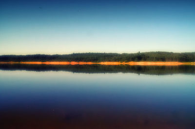 Reflection of trees in calm lake