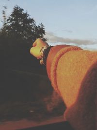 View of sky at sunset