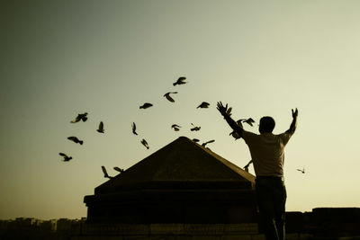 Rear view of man with arms outstretched standing by silhouette birds flying in sky during sunset