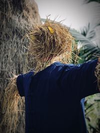 Scarecrow at farm