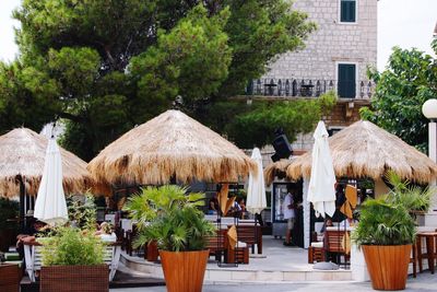 Potted plants and chairs outside building