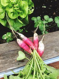 High angle view of vegetables on table