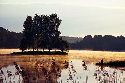 tranquil scene