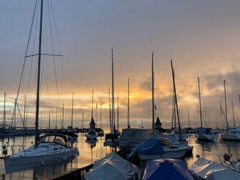 Sailboats moored in harbor at sunset