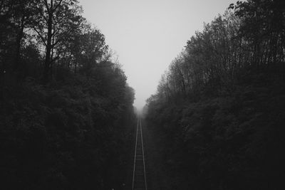 Railroad track amidst trees against clear sky