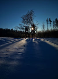 Road amidst bare trees against clear blue sky during winter