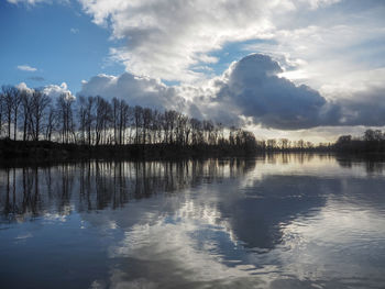 Reflection of trees in lake