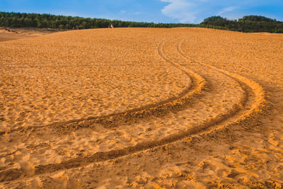 View of tire tracks on desert