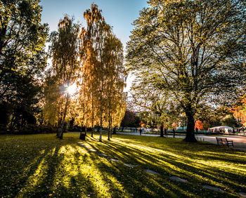 Trees in park against sky during autumn