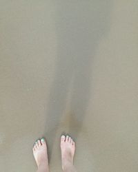 Low section of woman standing on beach