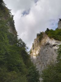 Trees on mountain against sky