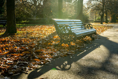 Sunlight falling on bench in park during autumn