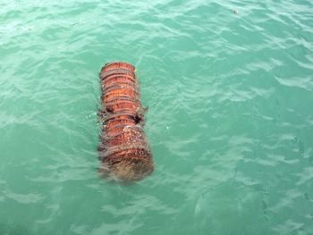 High angle view of log in sea