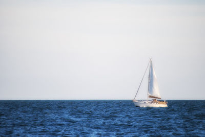 Sailboat sailing on sea against clear sky