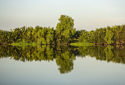 Scenic view of lake against clear sky