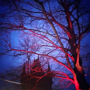 Low angle view of bare trees against sky