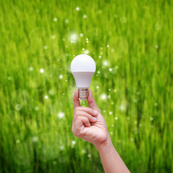 Cropped hand of woman holding light bulb with plant over field