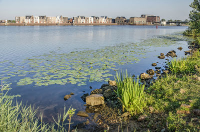 Dutch suburb seen from the natural banks on the other side of the river