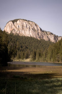 Scenic view of field against clear sky