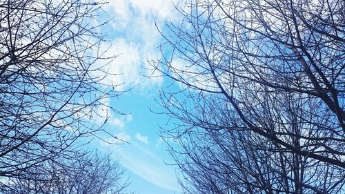 Low angle view of bare tree against cloudy sky