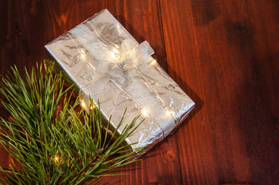 High angle view of plant on table