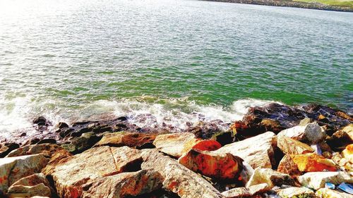 High angle view of rocks on beach