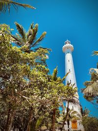 Low angle view of palm trees against blue sky