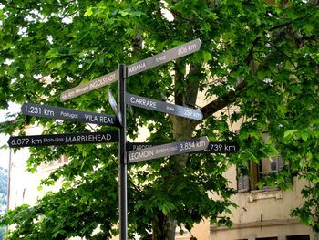 Information sign on tree in city