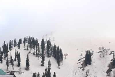 Snow covered trees in forest against sky