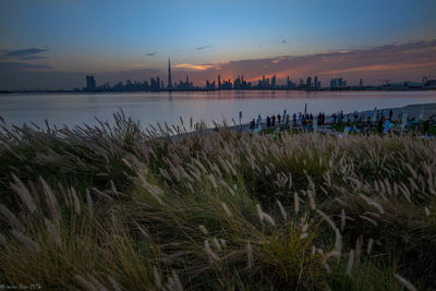 Scenic view of landscape at sunset