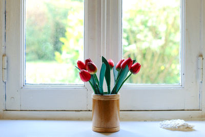 Close-up of potted plant