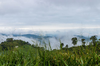 Scenic view of landscape against sky