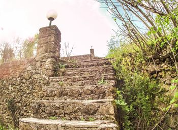Low angle view of trees against sky
