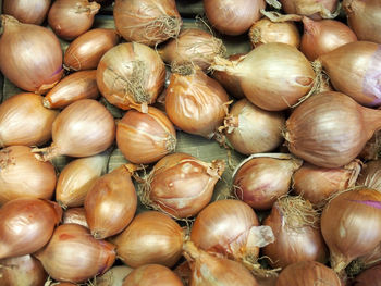 Full frame shot of pumpkins for sale at market