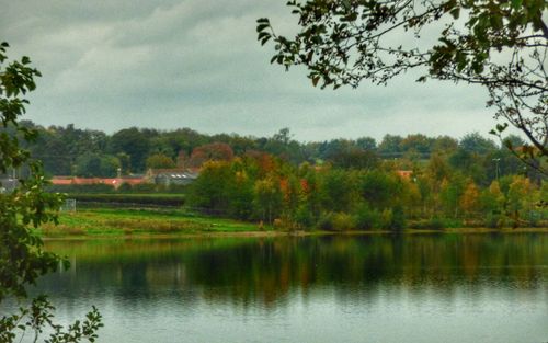 Scenic view of lake in forest against sky