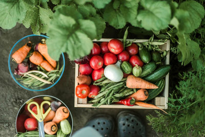 High angle view of vegetables on table