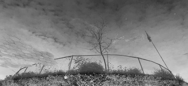 Bare trees on field against sky