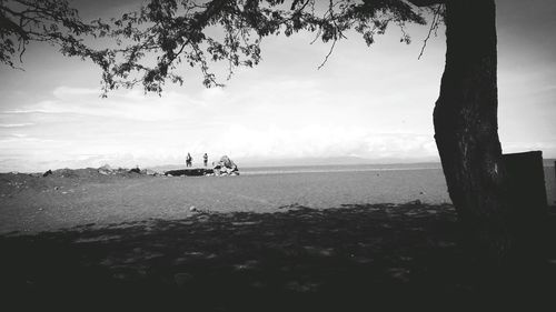 Silhouette trees on beach against sky