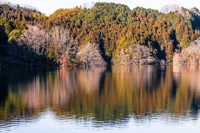 Scenic view of lake during autumn