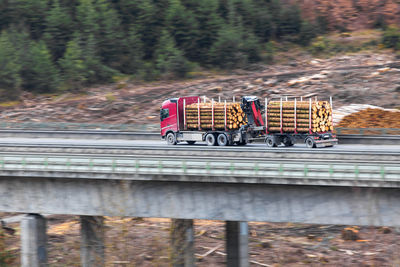 Train on railroad track in forest