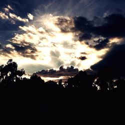 Silhouette of trees against cloudy sky