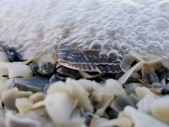 Close up of fabric