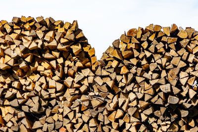 Stack of logs against trees in forest