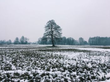 Scenic view of snow covered field against clear sky