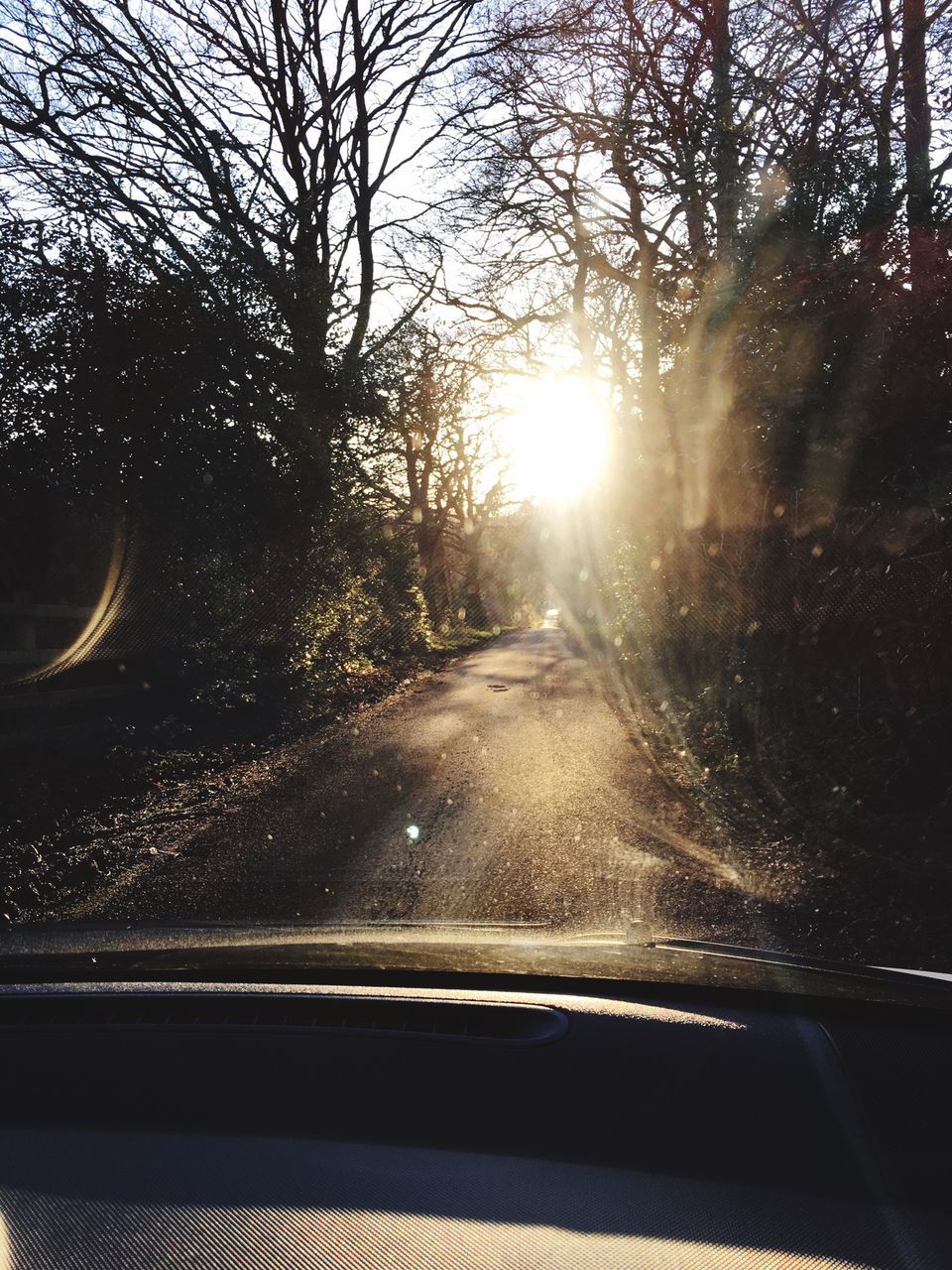 transportation, mode of transport, car, land vehicle, tree, windshield, road, vehicle interior, glass - material, sun, car interior, transparent, sunlight, sunbeam, bare tree, travel, window, on the move, the way forward, lens flare