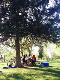 People relaxing on grassy field