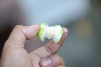 Close-up of hand holding apple