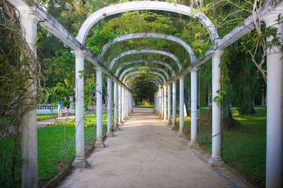 Empty corridor along trees and building