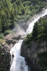 Scenic view of waterfall in forest